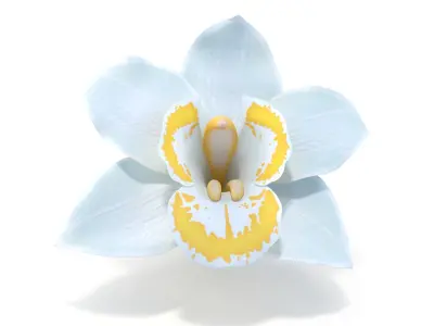  3D Flowers Collection – High-Quality 4K PBR Asset Pack | Orchids, Roses, Nymphaea &amp;amp; Lilies 