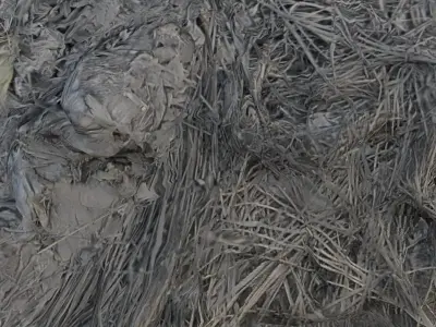 Organic Debris and Vegetation Texture Scan Low-poly 3D model