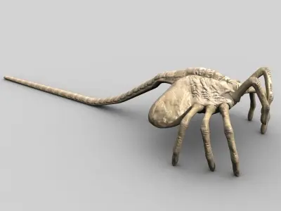 Rigged Alien Xenomorph Facehugger and Egg 3D model