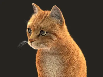  Cat (2) (Orange Tabby) (ANIMATED) (FUR) 