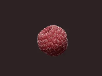 raspberry Free 3D model