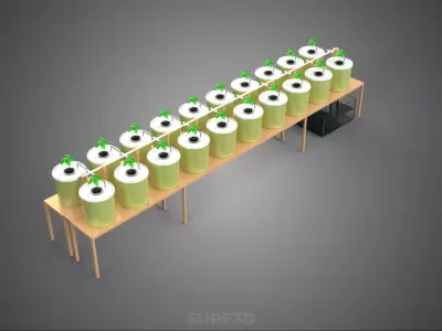 DUTCH BUCKET PLANT VEGETABLE FRUIT HYDROPONIC FARM CULTIVATION 3D model