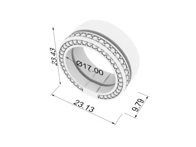 Dual Motion Rotating Ring JDBCo 3D print model