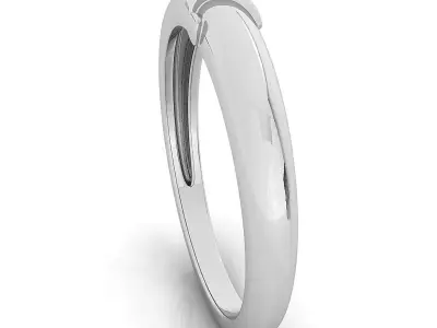 Fancy ring 3D print model