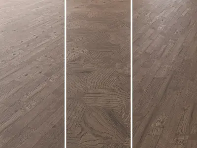 Parquet Oak Missisippi Wild Wood set 7 3D model