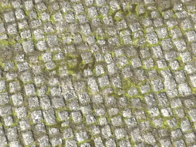 Cobblestone Road 6 PBR Texture