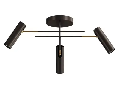 Axion ceiling light 3D model