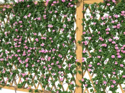 Fence - Mandevilla Sanderi with flowers 3D model