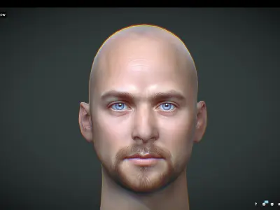 Male head Realistic Perfect Head Low-poly  Low-poly 3D model