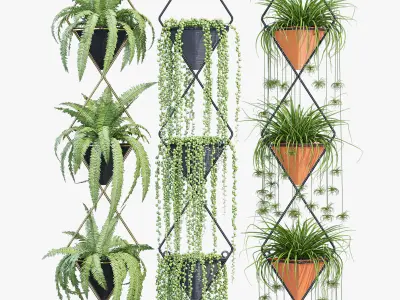 Rhombus group of plants hanging 3D model