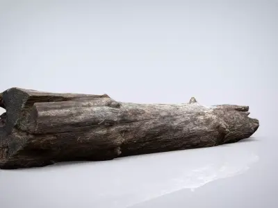 DEAD TREE TRUNK Low-poly 3D model