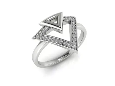 Ring 116 3D print model