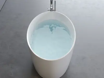 Disenia Lake Bathtub Low-poly 3D model