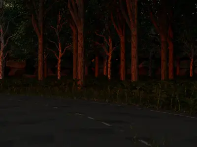 Road in Forest 3D model