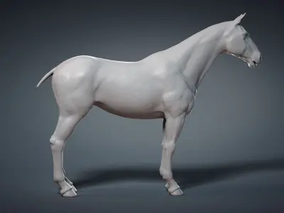  Horse Base Mesh 