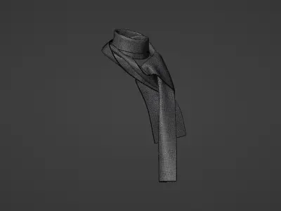 Women Scarf Free 3D model