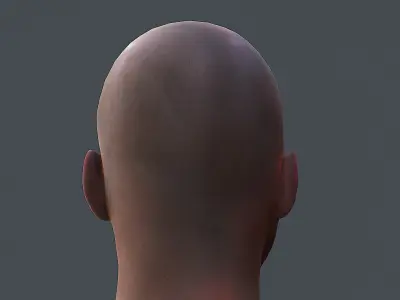 Male head Realistic Perfect Head Low-poly 3D model game ready  Low-poly 3D model