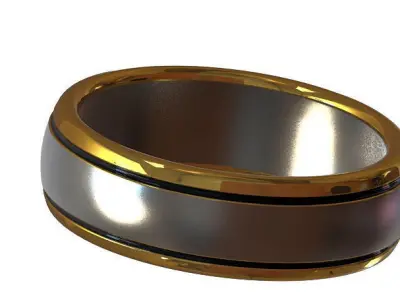Titanium Ring 2 Free 3D model