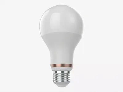 Led Bulb Smart Type A67 3D model