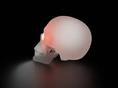 Indirect skull lighting Low-poly 3D model