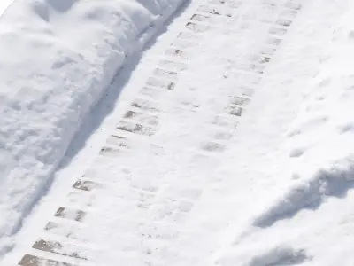 Wooden Path in the Snow 3D model