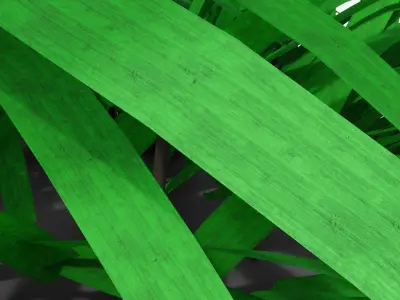 Liriope muscari 3D model