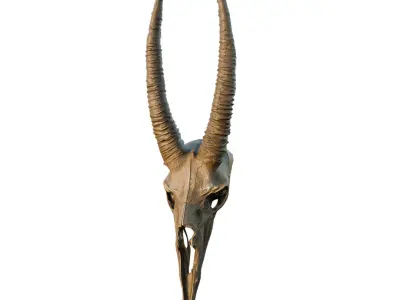 Big Horned wendigo head 3D model