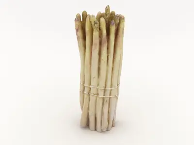 Asparagus Bunch White 3D model
