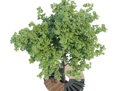 Round B tree 3D model