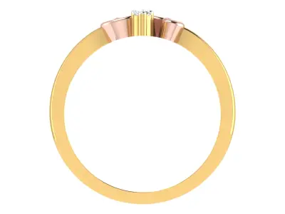 Women Ring  Render 3dm STL OBJ FBX Details 3D print model 284