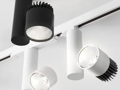 AQForm Roll Collection 3D model