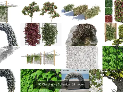 50 Climbing Ivy Collection 3D Model Pack