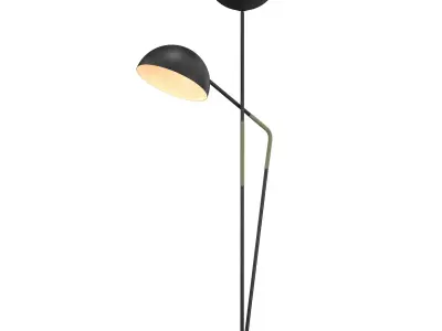 Pavo Floor Lamp 3D model
