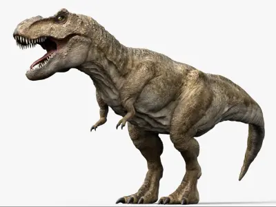  tyrannosaurusRex Anatomy 3D 
