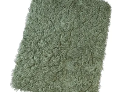 Carpet seven color 3D model