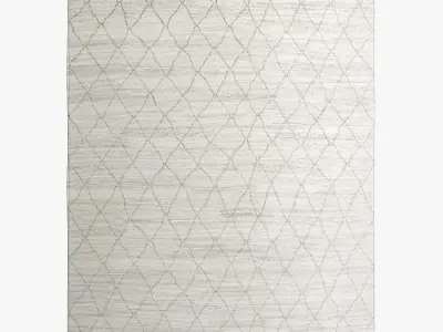 Restoration Hardware Rugs 103 3D model