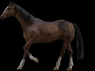  Brown Horse Rigged Fur 3D 