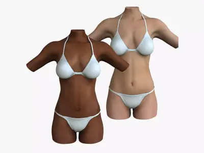 Caucasian and African American Female Torso 3D model