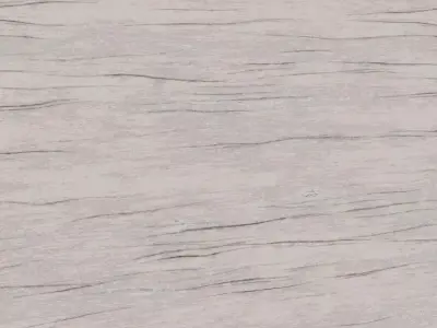 Light Grey Bark Textured Wood Veneer PBR Texture
