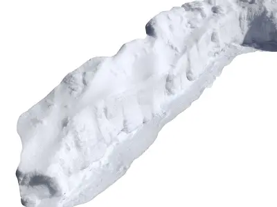 Snow  fence  3D model