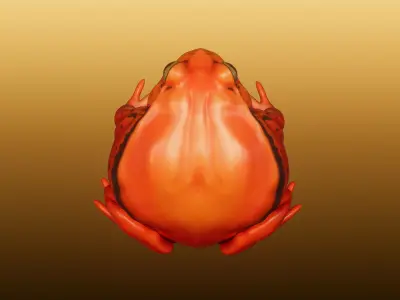 Tomato Frog 3D print model