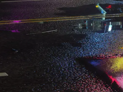 Rainy Road 3D model