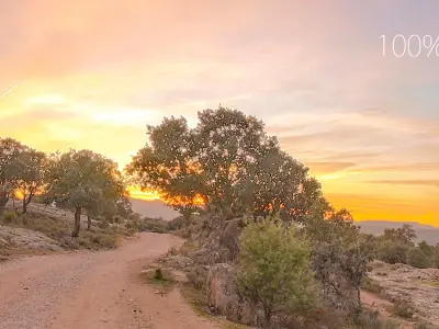 HDR RURAL DIRT ROAD AT SUNSET Low-poly 3D model