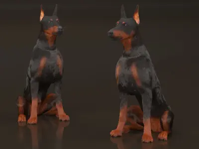  Doberman Pinscher Sits Fur for Cinema 4D 