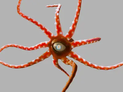 Red Alien Squid Rig 3D model