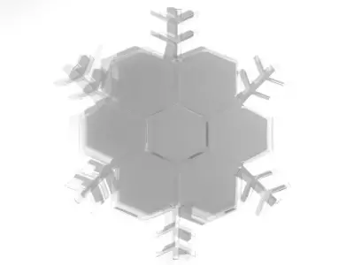 Snowflake - Type 5 3D model