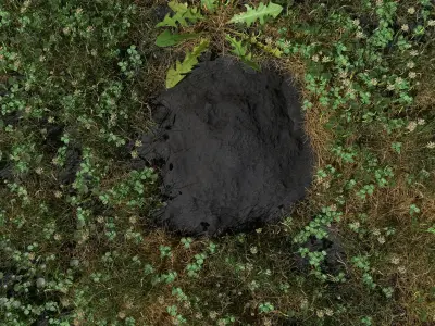 Mole Mound Low-poly 3D model