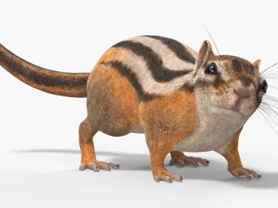  Tree-Dwelling Chipmunk Rigged for Maya 