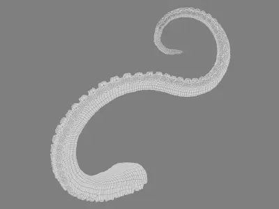  Octopus Tentacle Multicolor Rigged Animated 