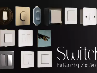 Switch Package - 3D Model 3D model